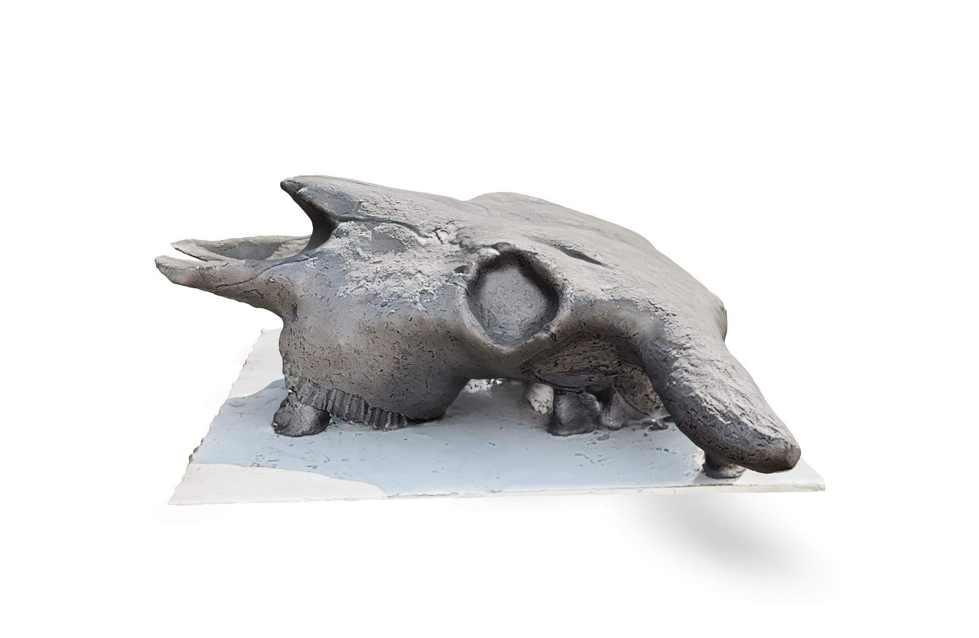 Image of clay bison skull as viewed in 3D viewer online